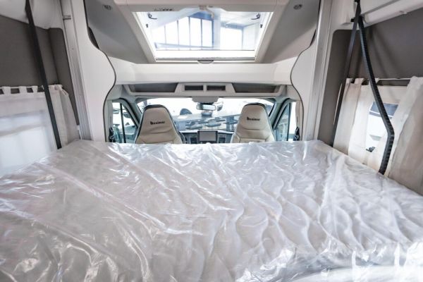 Cocoon 481