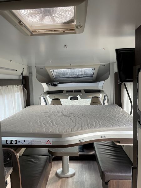 Cocoon 488 