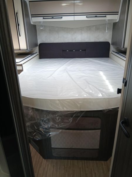 Silver Edition 81