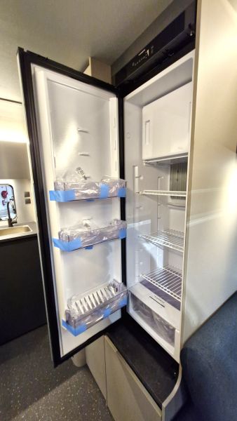 ACTION 391 LH SPORTS 